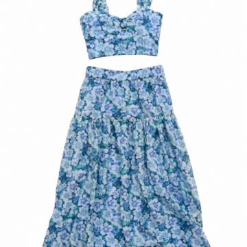 Floral Print Crop Top and Tiered Maxi Skirt Set